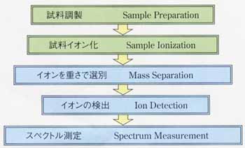 }1@ʕ͕@TSchematic of Mass Spectrometer